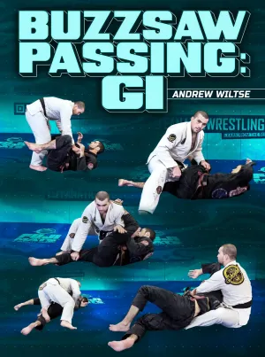 Buzzsaw Passing: Gi by Andrew Wiltse